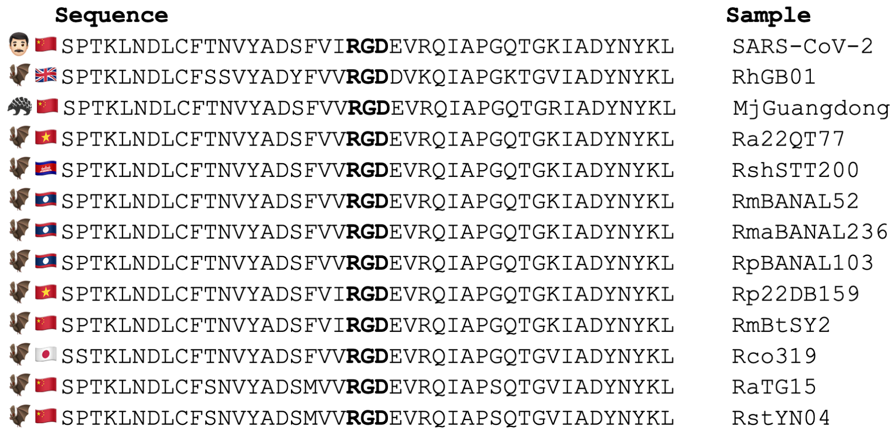 Alignment of SARS-CoV-2 and other equally natural SARS-like coronavirus Spike sequences that share an "RGD" sequence that Kadlec sees as a sign of engineering