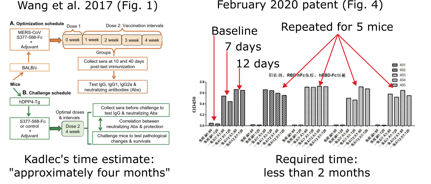 Comparison of Fig 7 in Kadlec's report to Fig 4 in Zhou's vaccine patent